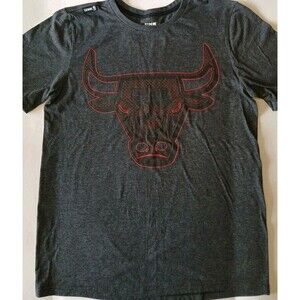 NBA UNK CHICAGO BULLS SHORTSLEEVE GRAY T'SHIRT RED BULLHEAD LG